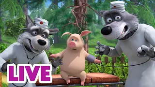 🔴 AO VIVO 👱‍♀️🐻 Masha e o Urso 😂 Rir é o Remédio 💊💚 Masha and the Bear