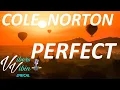 Download Lagu Cole Norton Perfect (Lyrics)
