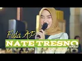 Download Lagu Fida AP _ Nate Tresno || COVER \u0026 LIRIK BY ( Rumah Musik Kita )