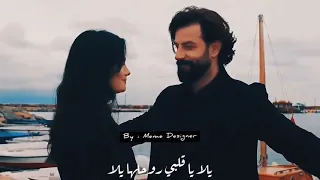 ضحكت يعنى قلبها مال    دندنها