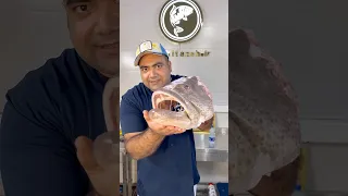 هامور اصل صادراتی خرید از طریق سایتmahitazeh Com ماهی ماهیگیری Fish 