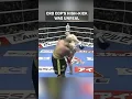Download Lagu Cro Cop’s high-kicks were UNREAL 😤 #mirkocrocop #knockout #kickboxing