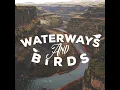 Springtime Bird Song - Outside Broadcast Recordings