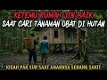 Download Lagu KETEMU RUMAH JIN DI TENGAH HUTAN SAAT CARI TANAMAN OBAT - cerita mistis