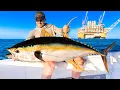 Lagu Monster Tuna Under Oil Rig! Catch, Clean \u0026 Cook!