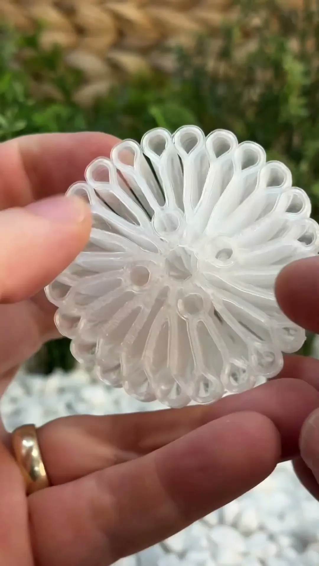 Squishy Jellyfish