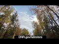 MN DNR s Fall Colors Map Is Up Running