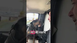 #fyp #dream #doberman #pets #vlog