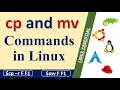 How to copy and move files in Linux cp