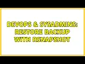 DevOps SysAdmins Restore backup with Rsnapshot