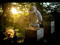 Download Lagu Ensuring a Fair Market for Honey in Estonia | Interview With Sigrid Hampartsoumian