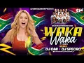 Download Lagu Waka Waka - Shakira | Remix | Dj Omi \u0026 Dj Specro | 2025
