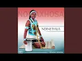 Download Lagu Ayivuminetshoba