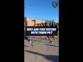 Why Tempe