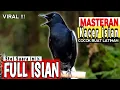 Download Lagu 🔴VIRAL ⁉️ - MASTERAN KACER GACOR FULL ISIAN MEWAH !! BURUNG KACER DADA HITAM COCOK buat LATIHAN