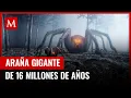 Megamonodontium mccluskyi La impresionante aracnida del pasado australiano