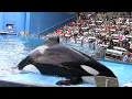 Orca Encounter (Full Show) - SeaWorld Orlando - April 8, 2021