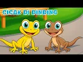 Lagu Cicak Cicak di Dinding - Lagu Anak Populer | Lagu Edukasi Anak PAUD TK