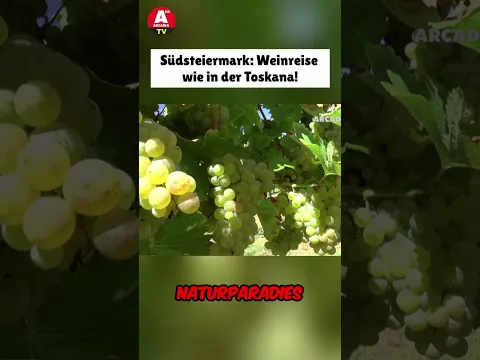 Südsteiermark: Weinreise wie in der Toskana🍷  #arcadiatv #wein #steiermark