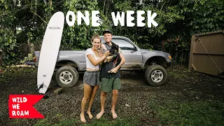 The First Week With Freja