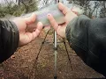 Armistead lake Trout Urban Waters Program Virginia