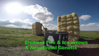 Element Fire Ice Arrows New Breed Genetix