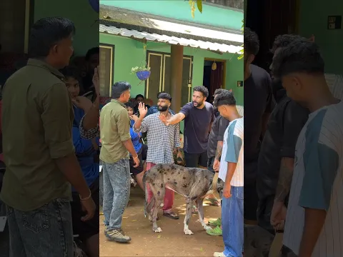 പണി പാളി ഗയ്‌സ്