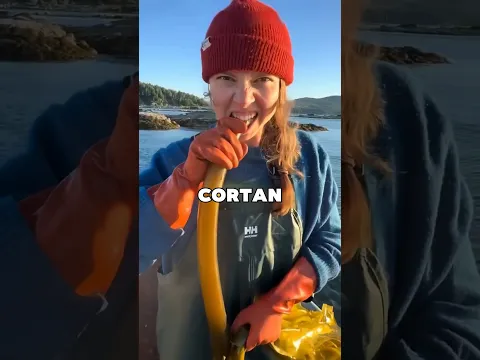 Por Qué Se Comen Estas Mangueras Del Mar 😱