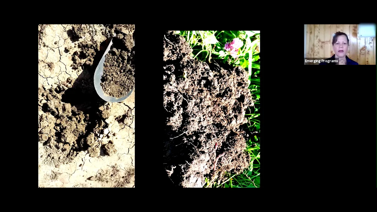 "Fire recovery: soil impacts and actions"