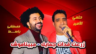 جديد النجم حلمي الأمير        موال زرعت فدان جمايل   مبيناموش   مصطفي باسط مواويل زيزو الشعبي      دندنها