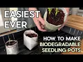 Make FREE Seed Starting Plant Pots in 2 Minutes
