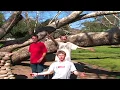 Buck-O-Nine My Town music video