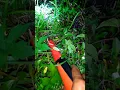 Download Lagu METAL DETECTING / NIGHT TREASURE HUNTING