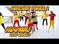 Senam Aerobik Musik Terbaru Viral MANGU Low Impact 2025