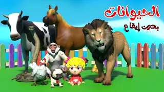 اغنية الحيوانات بدون ايقاع اغاني اطفال بون بون 