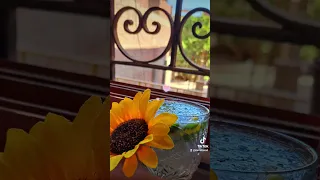 صبح الصباح فتح ياعليم والجيب مفهش ولا مليم Reels New 