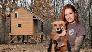 Rescuing Mikayla's Treehouse