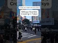 Lagu How many people cross at Shibuya Scramble Crossing each day? #japan #tokyo #travel #humanity
