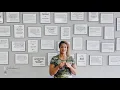 Jazz Licensed Massage Therapist Testimonial