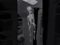 Download Lagu Skeleton on fan meme remake