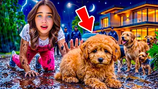 ELİF SİNEM KAPIDA KÖPEK VAR ‼️ SAHİPLENDİ EVE ALDI !!