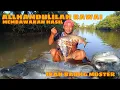 Download Lagu Alhamdulillah Rawai Dapat Ikan BAUNG MOSTER
