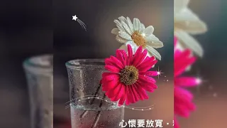 تيجي نقسم القمر وليد توفيق حالات واتس 