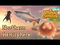 ALL NEW Northern Hemisphere Fish Bugs and Sea Creatures In September Animal Crossing New Horizons
