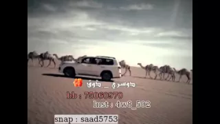 شيلة شبل الدوسر وقفت لعيون 