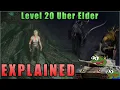 Level 20 No Hit Uber Elder Explained