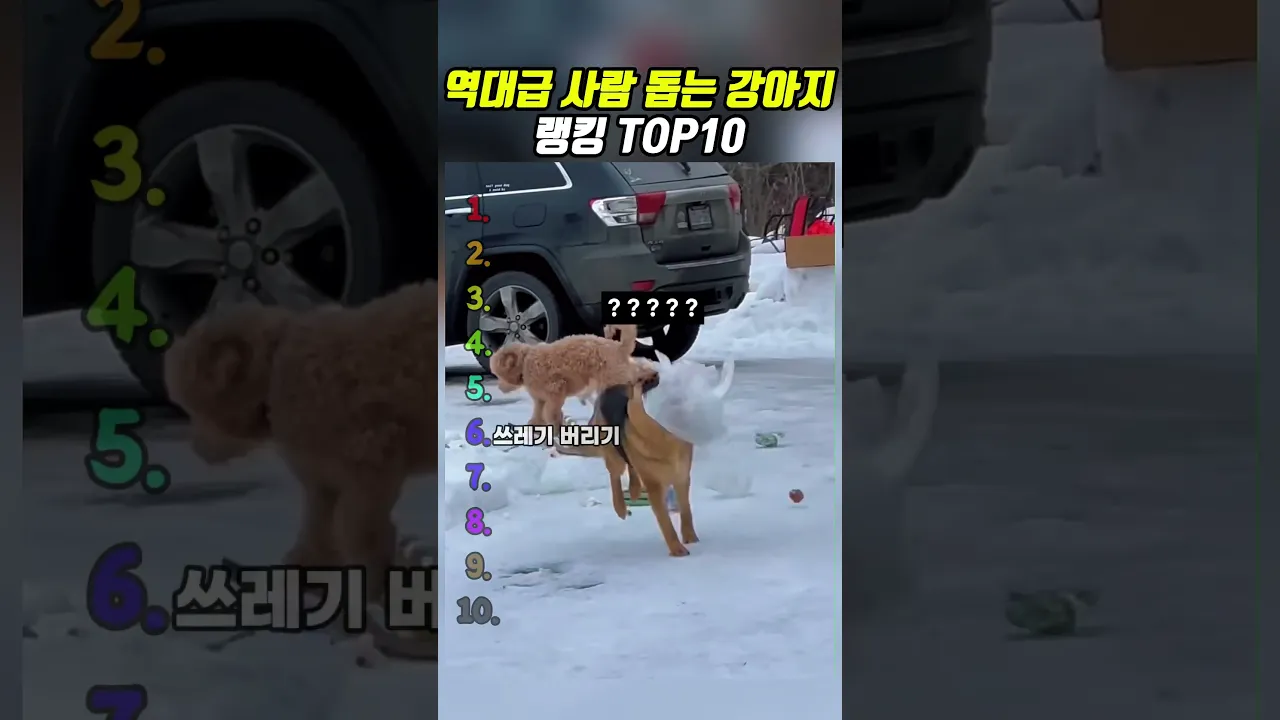 소리를 확인하지 마세요😭😭