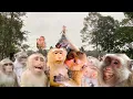 Download Lagu If monkey Rainbow hugs and kisses her mom Rose many times making happiness family