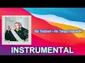 Ela Taubert - No Tengo Remedio (INSTRUMENTAL)