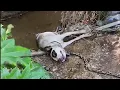 Download Lagu He lay silently by the river, broken and trembling, waiting for someone to care he was alive!